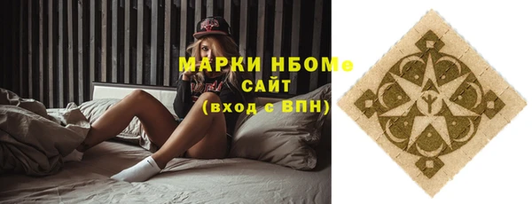 хмурый Алексин