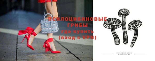 твердый Алексеевка