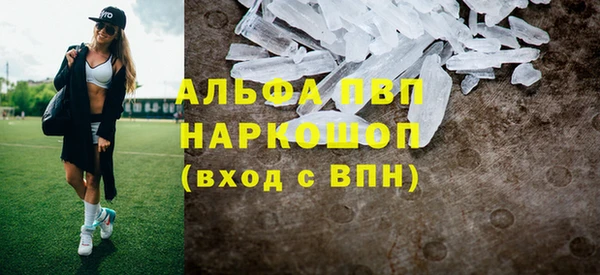 хмурый Алексин