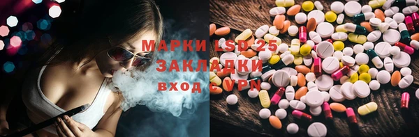 хмурый Алексин